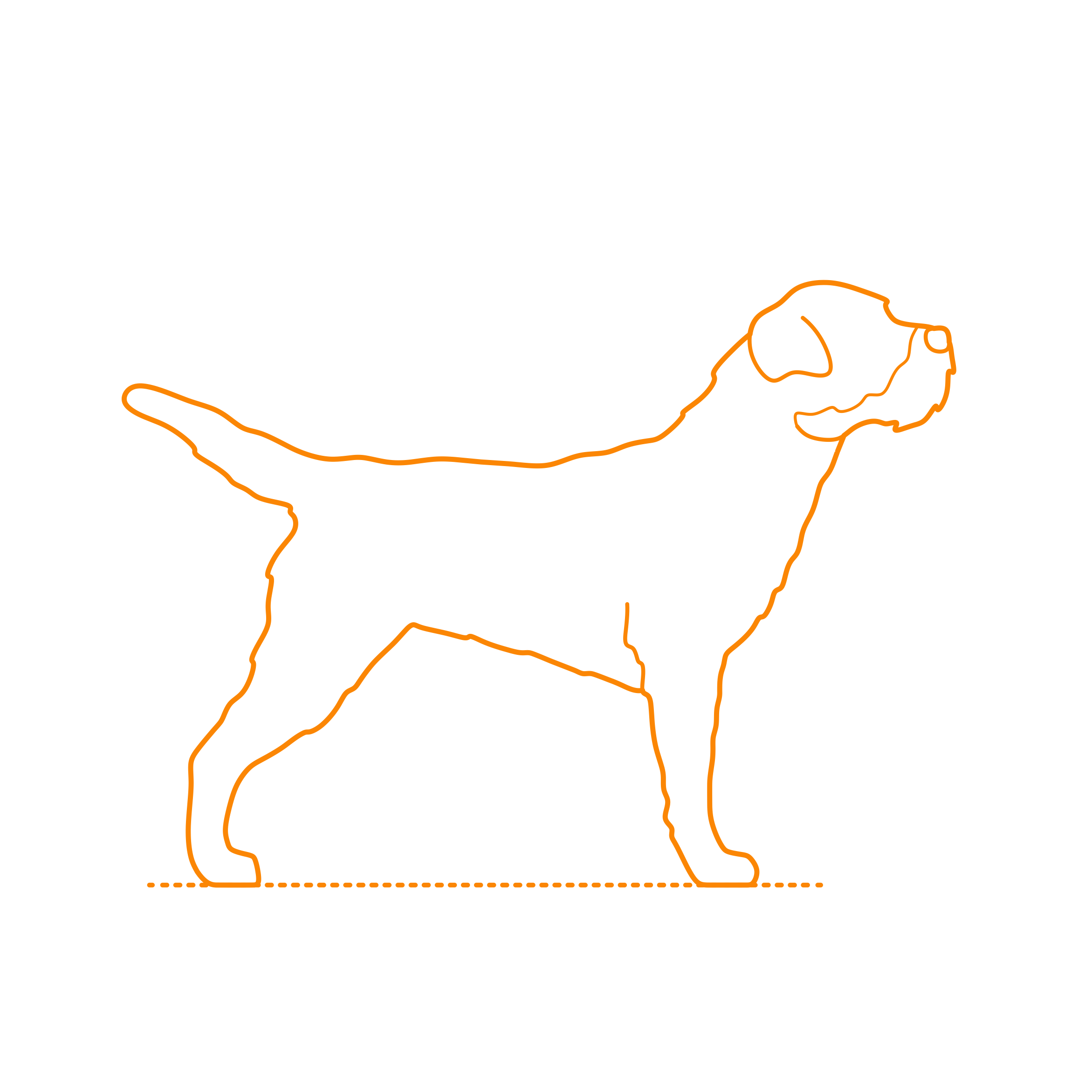 Animals Dogs Border Terrier Stencil Svg Design File Free Vectors
